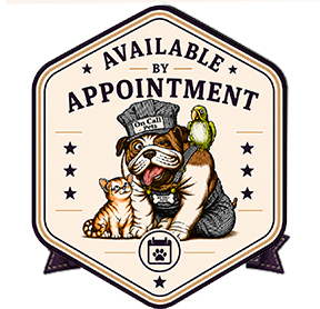 Available By Appointment